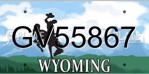 GV55867 Wyoming License Plate