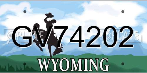 GV74202 Wyoming License Plate