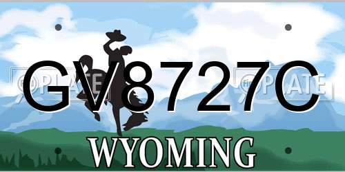 GV8727C Wyoming License Plate