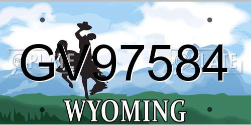GV97584 Wyoming License Plate