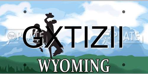 GXTIZII Wyoming License Plate