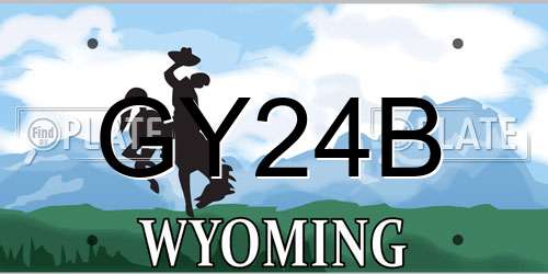 GY24B Wyoming License Plate