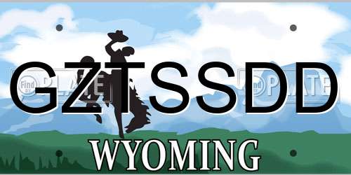 GZTSSDD Wyoming License Plate