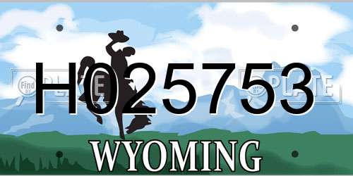 H025753 Wyoming License Plate