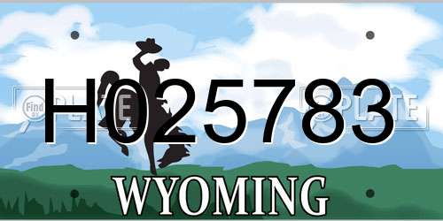 H025783 Wyoming License Plate