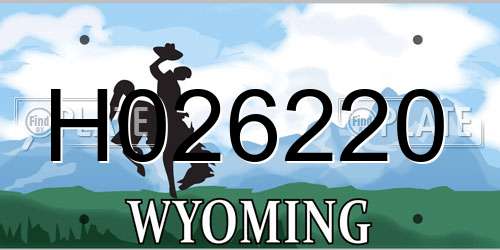 H026220 Wyoming License Plate