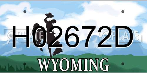 H02672D Wyoming License Plate