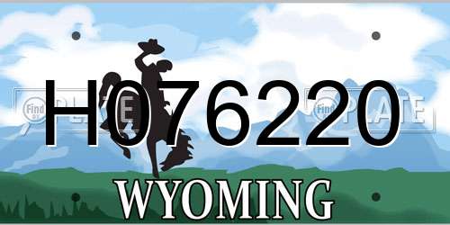 H076220 Wyoming License Plate