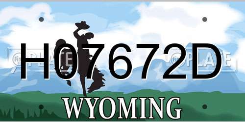 H07672D Wyoming License Plate