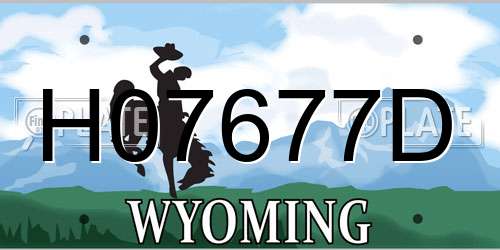H07677D Wyoming License Plate