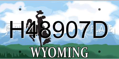 H48907D Wyoming License Plate
