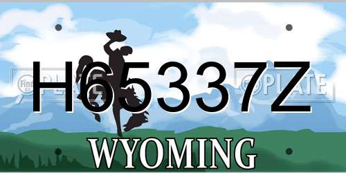 H65337Z Wyoming License Plate