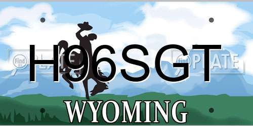 H96SGT Wyoming License Plate