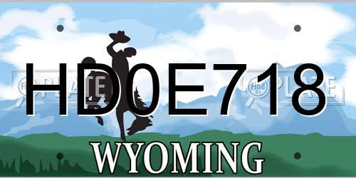 HD0E718 Wyoming License Plate