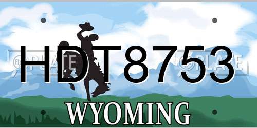 HDT8753 Wyoming License Plate