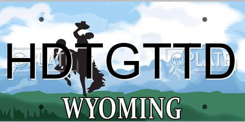 HDTGTTD Wyoming License Plate