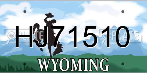 HJ71510 Wyoming License Plate