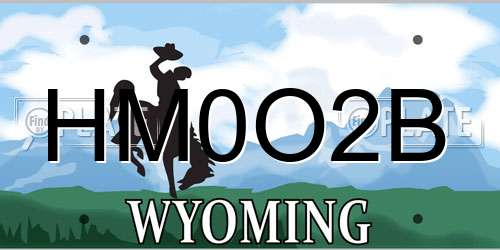 HM0O2B Wyoming License Plate