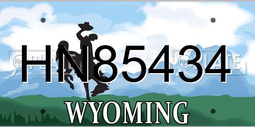 HN85434 Wyoming License Plate