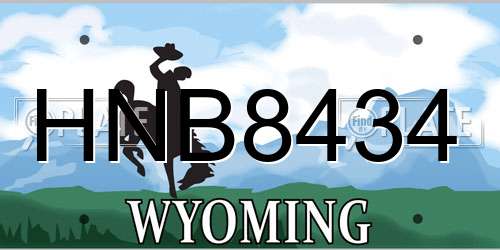 HNB8434 Wyoming License Plate