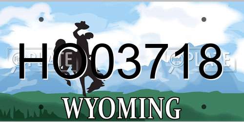 HO03718 Wyoming License Plate