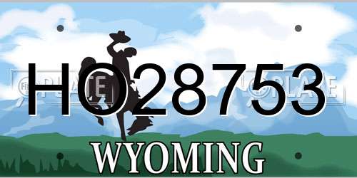 HO28753 Wyoming License Plate