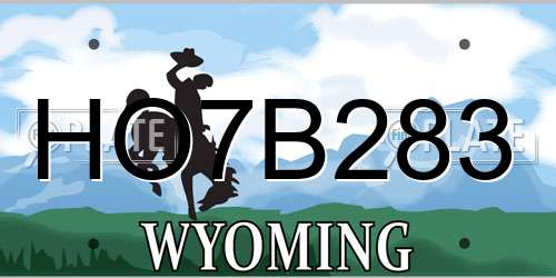 HO7B283 Wyoming License Plate