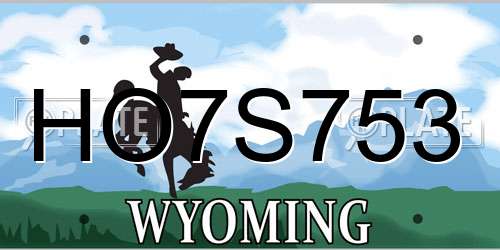 HO7S753 Wyoming License Plate