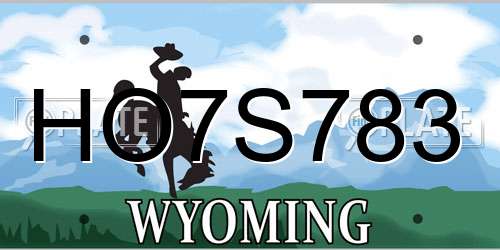 HO7S783 Wyoming License Plate