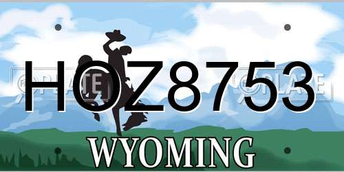 HOZ8753 Wyoming License Plate