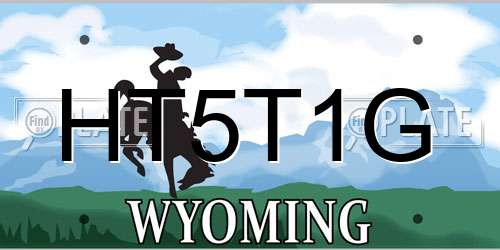 HT5T1G Wyoming License Plate