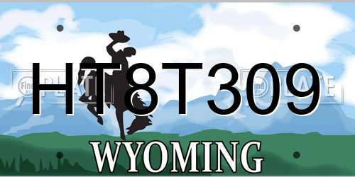 HT8T309 Wyoming License Plate