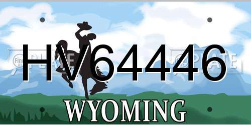 HV64446 Wyoming License Plate
