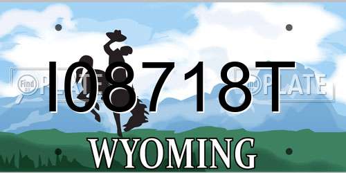 I08718T Wyoming License Plate