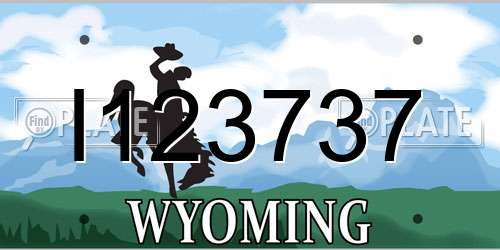 I123737 Wyoming License Plate