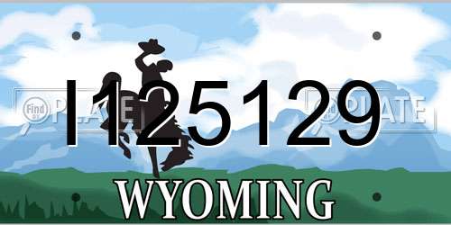 I125129 Wyoming License Plate