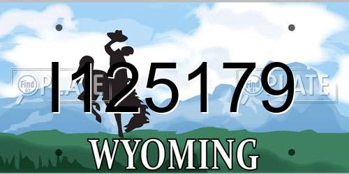 I125179 Wyoming License Plate