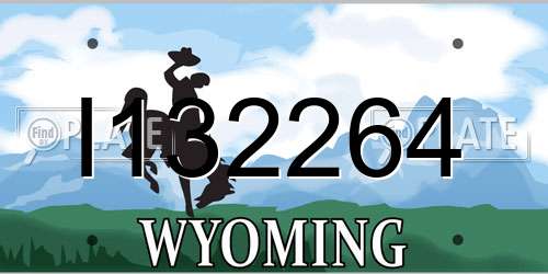I132264 Wyoming License Plate