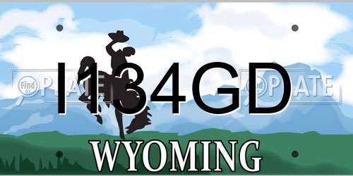 I134GD Wyoming License Plate
