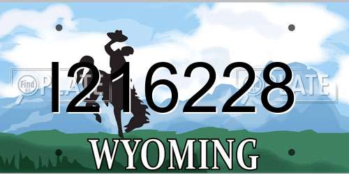 I216228 Wyoming License Plate