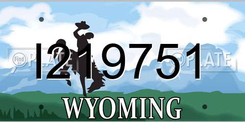 I219751 Wyoming License Plate
