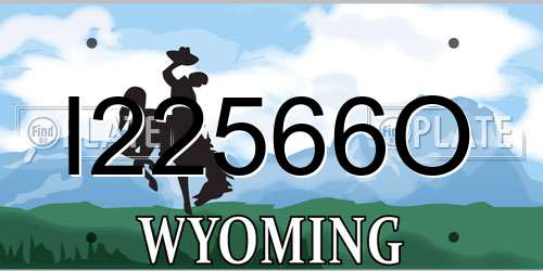 I22566O Wyoming License Plate
