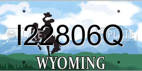 I22806Q Wyoming License Plate