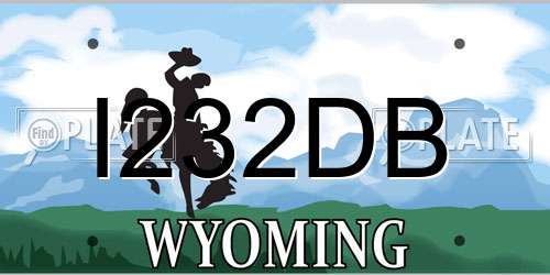I232DB Wyoming License Plate