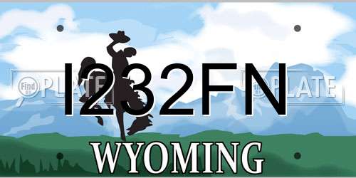 I232FN Wyoming License Plate