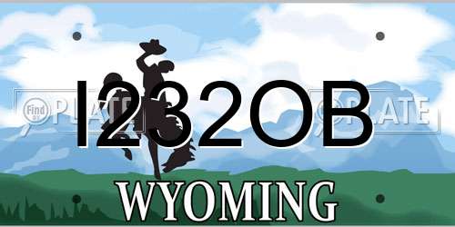 I232OB Wyoming License Plate