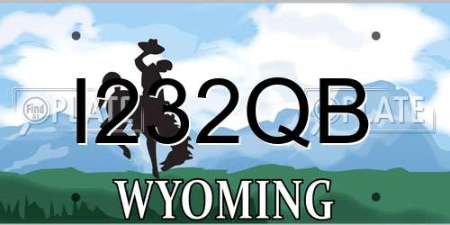 I232QB Wyoming License Plate