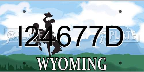 I24677D Wyoming License Plate