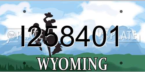 I258401 Wyoming License Plate