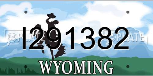 I291382 Wyoming License Plate